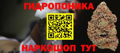 ECSTASY Ливны