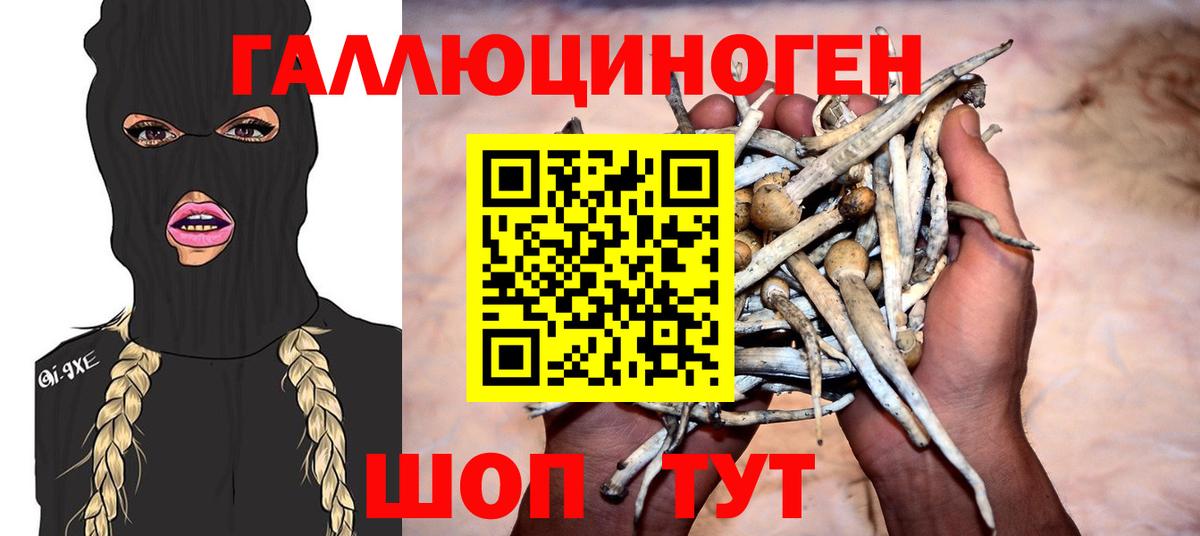 Галлюциногенные грибы Cubensis  Галлюциногенные грибы Cubensis  Вход с VPN  Губкин 